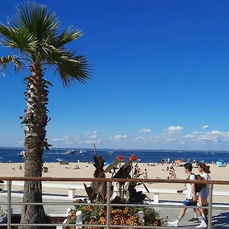 Avec Balcon Sur Le Bassin D'arcachon *